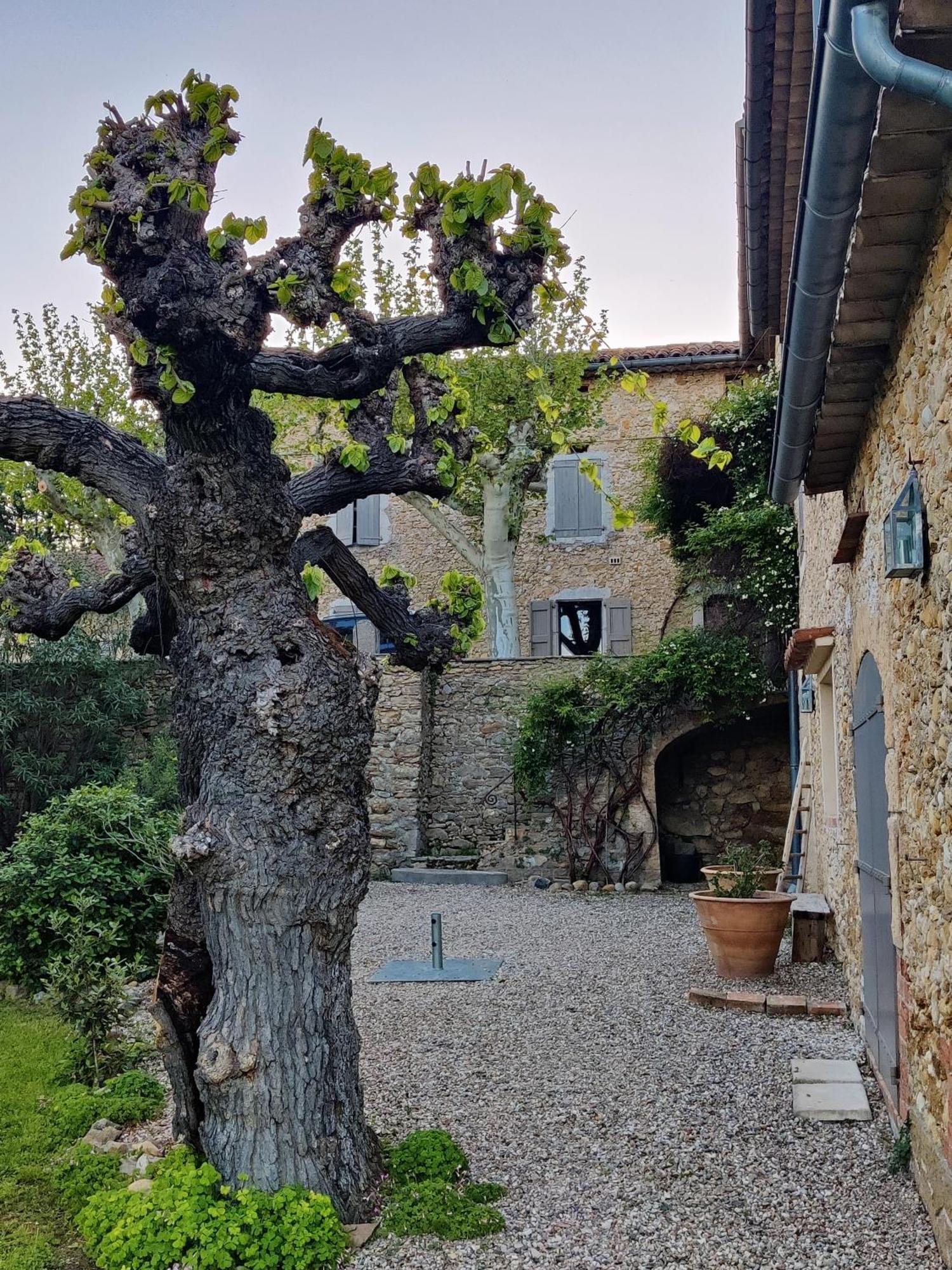 L'Etoffe, Charmante Chambre Dans Un Mas Cevenol Boisset-et-Gaujac 外观 照片