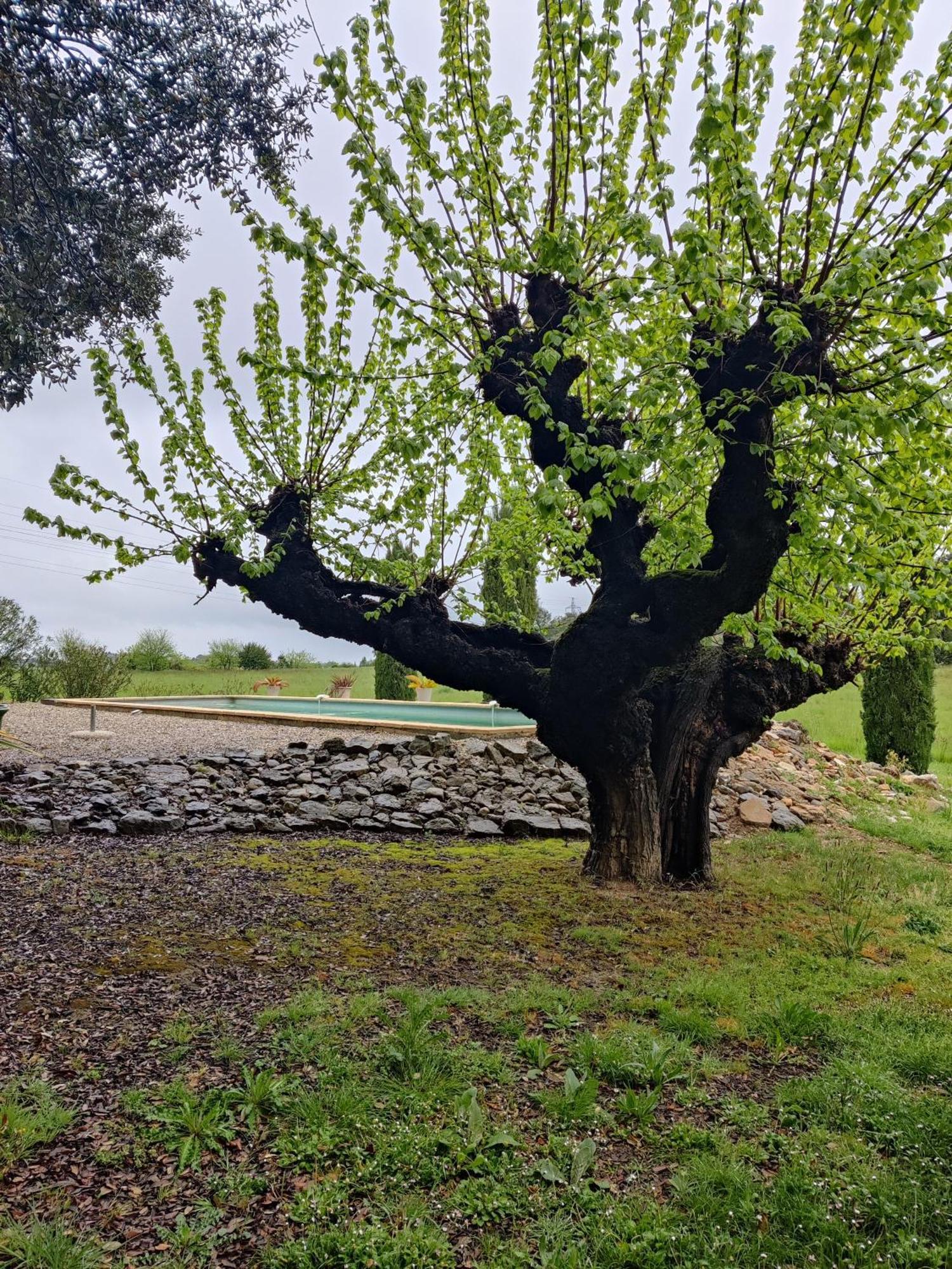 L'Etoffe, Charmante Chambre Dans Un Mas Cevenol Boisset-et-Gaujac 外观 照片